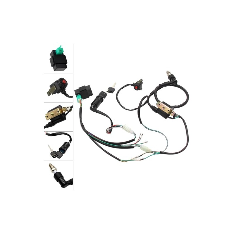 Lifan YX Complete Kick Starter Engine Wiring Wire Harness Loom