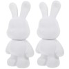 Didiseaon Unfinished Coloring Coin Bank for Boys and Girls 2pcs Bunny Bank Paint Storage Jar Toy