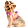 American River Dog Harness Ombre Collection - Raspberry/Pink/Orange