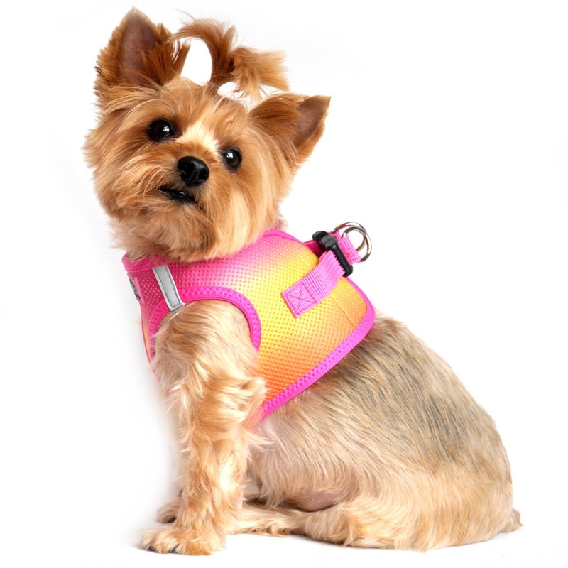 American River Dog Harness Ombre Collection - Raspberry/Pink/Orange
