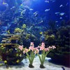 minkissy 2pcs Aquarium Landscaping Pond Decor Realistic Aquarium Plant Aquarium
