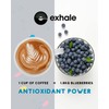 Organic Wholebean Coffee - NEW LARGE 450G PACK - Mycotoxin