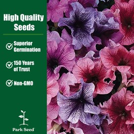 Park Seed Easy Wave Carmine Velour Petunia Seeds, Velvety Carmine Red Blooms with Mounding-Spreading Habit, Nonstop Color for Containers and Beds, Pack of 10