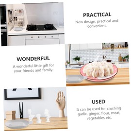 iplusmile Kitchen Ceramic Garlic Crusher for Easy Grinding of Garlic Ginger and Onions Dishwasher Safe Practical Tool for Cooking and Food Preparation