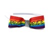 Rainbow Pride Headband Rainbow Pride Hairband
