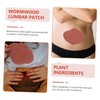 Healvian 10sheets Waist Patch Wormwood Belly Stickers for Women Natural