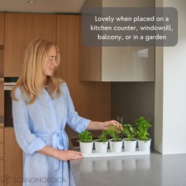 SCANDINORDICA White Herb Planter – 5 Pots with Drainage Holes and Tray, Windowsill Planter, Indoor Planter Outdoor Herb Pots for Indoor Plants