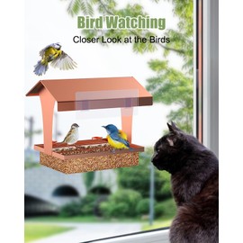 Window Bird Feeder for Viewing, Jimtong Larger Size Window Bird Feeders, Metal Window Bird Feeders for Outside with Outdoor Hanging Chain, Great Gift for Cats, Kids, Family and Yourself! (Rose Gold)