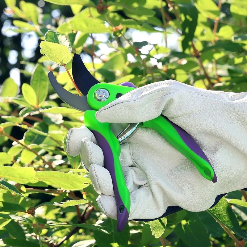 6 Pack Replacement Spring for Secateurs, 6 Cm Volute Secateur