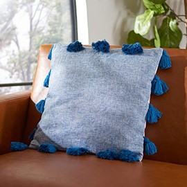 SAFAVIEH Home Collection Lonelli 18-inch Blue Tassel Decorative Accent Pillow PLS7173C-1818, 19"x19"