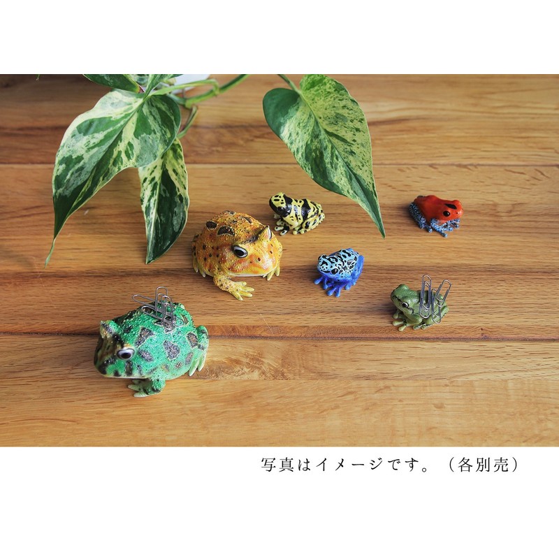 reputexisumagu ho-ndohuroggu Horns (Frog) Green, X 7 X/5.5 cm