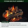 F270399 70358 Pilot ODS Assembly for Vent-Free Mr Heater Heatstar