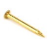 100Pcs Brass Wall Pins, Round Head Brass Brad Nails for