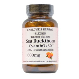 Barlowe's Herbal Elixirs Sea Buckthorn Extract | CyanthOX 30™ | 600mg per Capsule | Skin, Immune, & Digestive Support | 60 Vegan Capsules | Glass Bottled