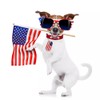 QYVEWY 4 Pairs American Flag Sunglasses Bulk for Men Women