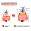 KAKIBLIN 3D Organ Apron,(Upgrade Version) Anatomy Apron Human Body Organs