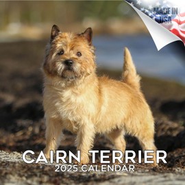 2024 2025 Carin Terrier Calendar - Dog Breed Monthly Wall Calendar - 12 x 24 Open - Thick No-Bleed Paper - Giftable - Academic Teacher's Planner Calendar Organizing & Planning - Made in USA