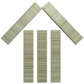 Toicann 18 Gauge Brad Nails 304 Stainless Steel 3000 pcs Universal 18 GA Nail Gun Nails Assorted and Small Finishing Nails for Pneumatic, Electric Brad Nailer (1 inch - 3000 pcs)