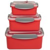 Microwave Vegetable Steamer Containers- 3 Pack Reusable Food Storage Large,