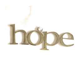 Holiday Lane “Hope” Ornanment