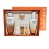 Sulwhasoo Consonant 2 types special AD25 / 설화수 자음 2종 기획 AD25