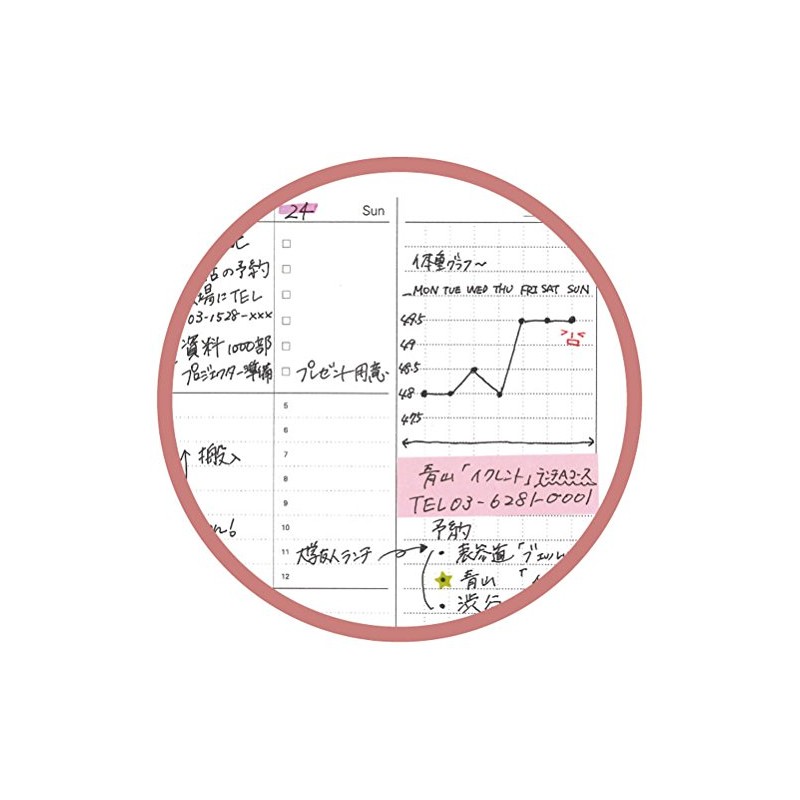 Raymei Fujii System Notebook, Free Weekly Schedule, Vertical Type B5