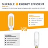 12V Low Voltage Mini LED Candelabra Light Bulbs - Soft
