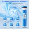 iSpring Greatwell NSF Certified Reverse Osmosis Membrane 75 GPD 11.75”