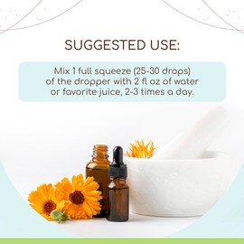 HerbEra Lemon Balm B120 Alcohol-Free Herbal Extract Tincture, Concentrated Liquid Drops Natural Lemon Balm (Melissa officinalis) 4 fl oz