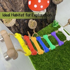 Daerky Jumping Spider Rope Bridge,Magnetic Climbing Bridge, Spider Hide Platform,Jumping Spider Enclosure Accessories,3D Printed,Magnetic Decor for Small Reptile Enclosures (Color)