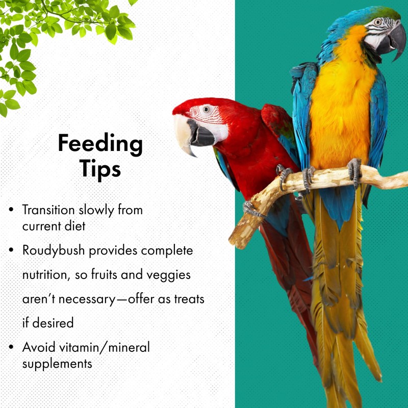 Roudybush Low Fat Food for Adult Birds & Chicks -