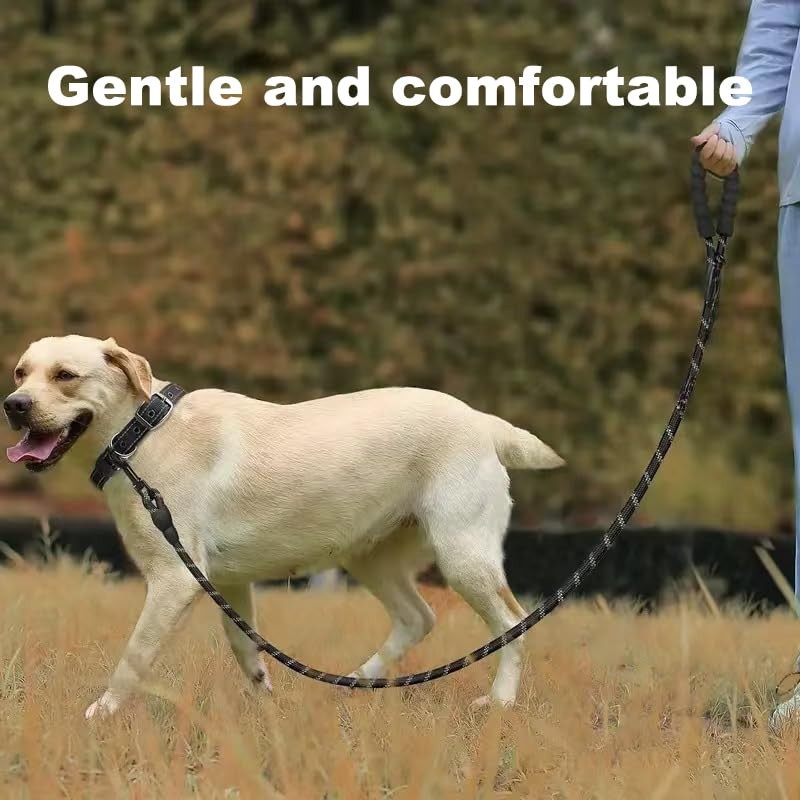 Reflective Dog Collar and Leash Set - Adjustable Collar with