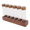 Coffee Bean Storage Tubes with Walnut Wood Stand Lid Glass