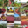 Bean Box Coffee Sampler - Decaf Roast, 2-Pack, Freshly Ground,