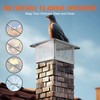 VEVOR Chimney Cap 17 x 17 inch Practical Accessories &