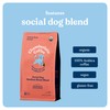 Chamberlain Coffee Social Dog Blend, Full Bodied Organic Coffee with