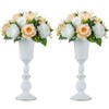 NUPTIO Pack of 2 Bloomed Metal Trumpet Vases, Elegant Vase
