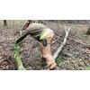 THE MINGO Marker Firewood Measuring Tool - Chainsaw Firewood Marking