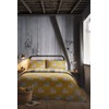 Dreams & Drapes Colville Check-100% Brushed Duvet Cover Set, 100%