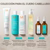 Moroccanoil Shampoo Equilibrio del Cuero Cabelludo Shampoo Equilibrante Para Cuero
