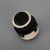 Topteng Ignition Switch with 2 Keys for JCB New Holland