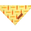 Realeaf Easter Dog Bandanas 2 Pack, Triangle Reversible Pet Scarf