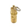 Interstate Pneumatics V125-4 ASME Brass Safety Valve w/Pull Ring 1/4