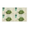 베네팜 유기농 곱슬케일 4박스(2g25포/총100포) 동결건조 BeneFarm Organic Curly Kale 4 Boxes (25 Packs of 2g/Total 100 Packs) Freeze-Dried