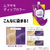 Tottimo! Dip Color Treatment, 17.6 oz (500 g)
