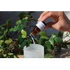 Songs of nature HP Aroma Oil Orange HP-107