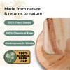 Indie Palm 10 Inch Square Disposable Palm Leaf Plates –