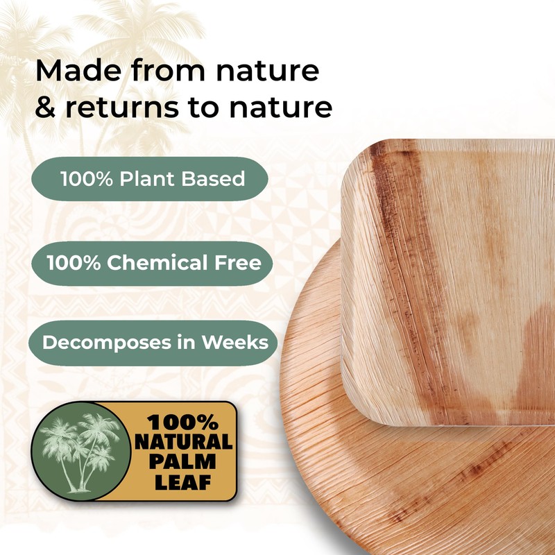 Indie Palm 10 Inch Square Disposable Palm Leaf Plates –