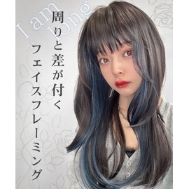 AQUADOLL Wg354JBKF1-ZX Wig, Long Layer, Face Framing, High Tone, Full Wig, One Size Fits Most