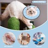 Seyezo Lightweight Cat Cone Collar Soft, Soft Comfortable Cat Recovery